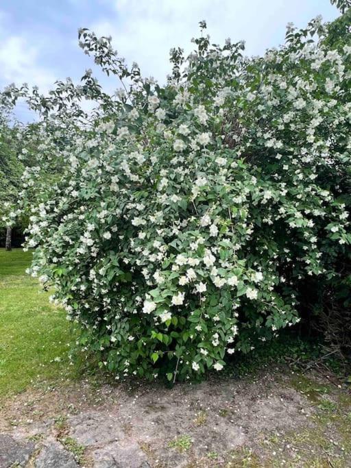 Gite De La Petite Fourmy Saint-Sulpice-les-Feuilles Экстерьер фото