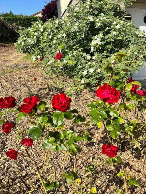 Gite De La Petite Fourmy Saint-Sulpice-les-Feuilles Экстерьер фото